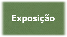 Exposição