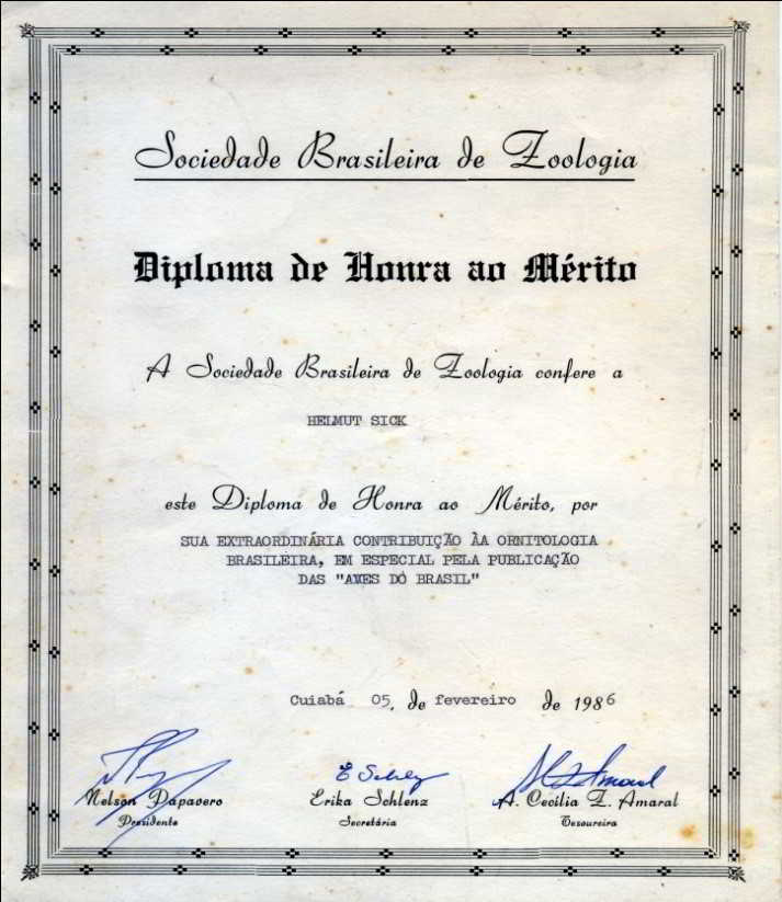 Figura 5 – Diploma de Honra ao Mérito