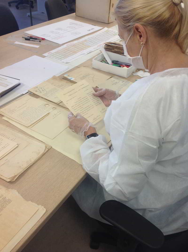 Elisabete De Angeli atuando em tratamento técnico dos documentos de Júlio Prestes