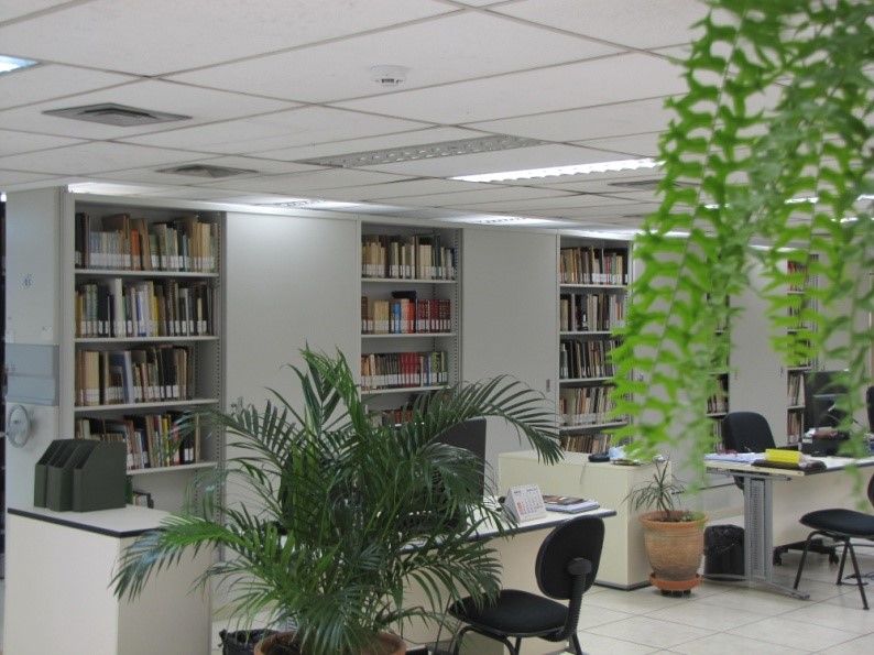 Biblioteca (Foto: divulgação/Emplasa)