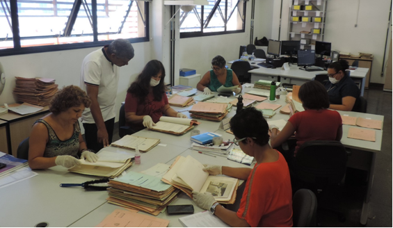 Equipe do Núcleo de Processamento Técnico em atividade supervisionada por Edson Equipe do Núcleo de Processamento Técnico em atividade supervisionada por Edson
